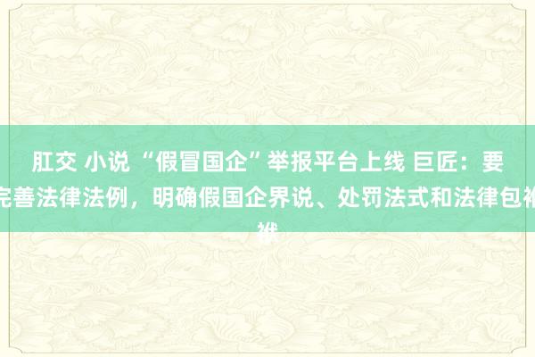 肛交 小说 “假冒国企”举报平台上线 巨匠：要完善法律法例，明确假国企界说、处罚法式和法律包袱
