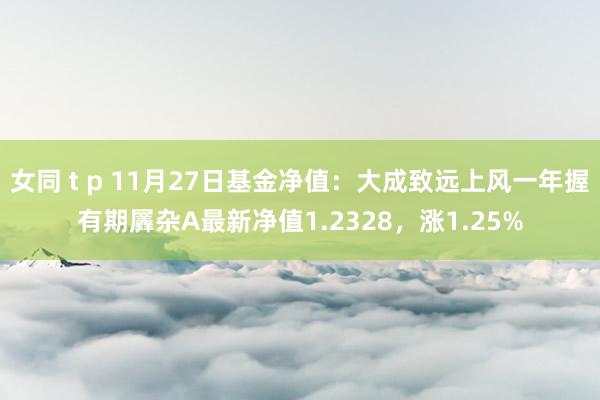 女同 t p 11月27日基金净值：大成致远上风一年握有期羼杂A最新净值1.2328，涨1.25%