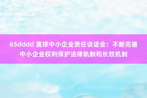 65dddd 寰球中小企业责任谈话会：不断完善中小企业权利保护法律轨制和长效机制