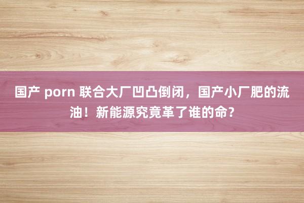 国产 porn 联合大厂凹凸倒闭，国产小厂肥的流油！新能源究竟革了谁的命？