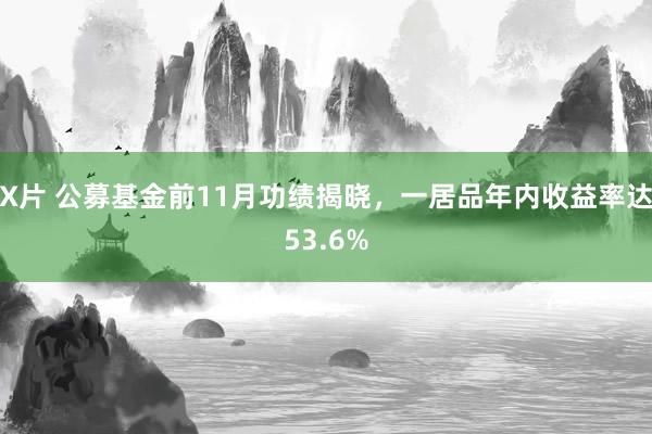 X片 公募基金前11月功绩揭晓，一居品年内收益率达53.6%