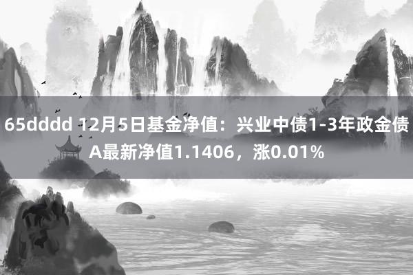 65dddd 12月5日基金净值：兴业中债1-3年政金债A最新净值1.1406，涨0.01%