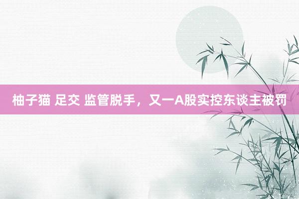 柚子猫 足交 监管脱手，又一A股实控东谈主被罚