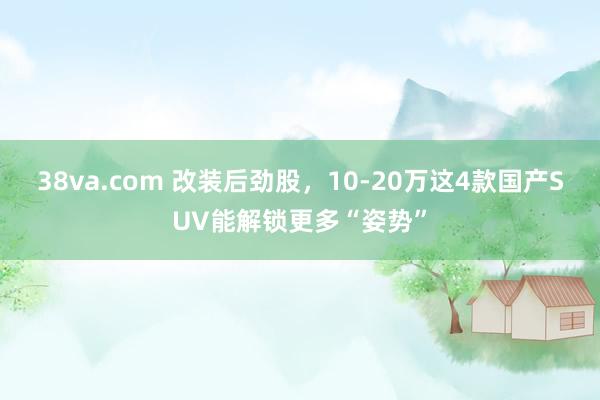 38va.com 改装后劲股，10-20万这4款国产SUV能解锁更多“姿势”