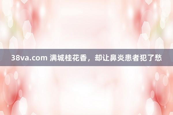 38va.com 满城桂花香，却让鼻炎患者犯了愁