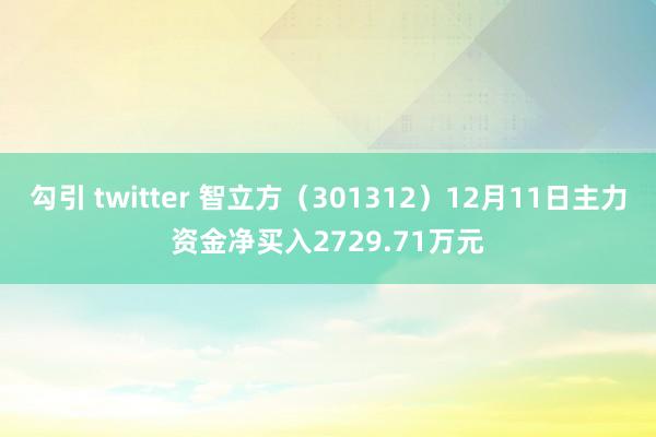 勾引 twitter 智立方（301312）12月11日主力资金净买入2729.71万元