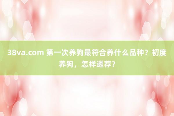 38va.com 第一次养狗最符合养什么品种？初度养狗，怎样遴荐？