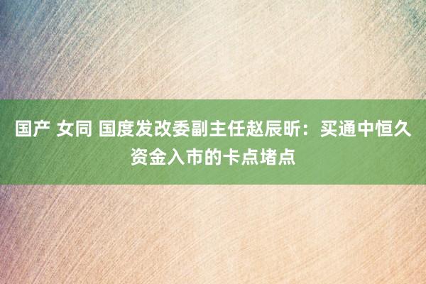 国产 女同 国度发改委副主任赵辰昕：买通中恒久资金入市的卡点堵点