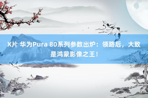 X片 华为Pura 80系列参数出炉：领路后，大致是鸿蒙影像之王！