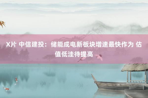 X片 中信建投：储能成电新板块增速最快作为 估值低洼待提高