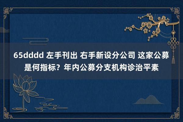 65dddd 左手刊出 右手新设分公司 这家公募是何指标？年内公募分支机构诊治平素