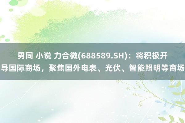 男同 小说 力合微(688589.SH)：将积极开导国际商场，聚焦国外电表、光伏、智能照明等商场