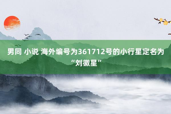 男同 小说 海外编号为361712号的小行星定名为“刘徽星”