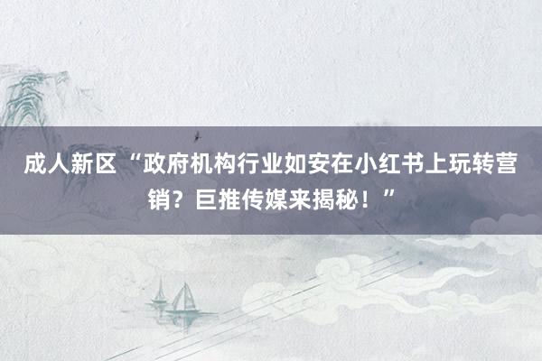 成人新区 “政府机构行业如安在小红书上玩转营销？巨推传媒来揭秘！”