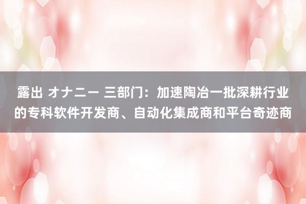 露出 オナニー 三部门：加速陶冶一批深耕行业的专科软件开发商、自动化集成商和平台奇迹商