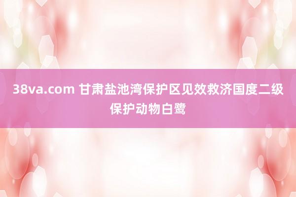 38va.com 甘肃盐池湾保护区见效救济国度二级保护动物白鹭