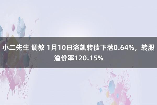 小二先生 调教 1月10日洛凯转债下落0.64%，转股溢价率120.15%