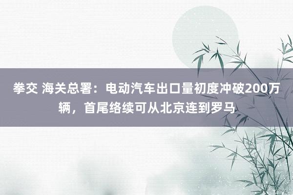 拳交 海关总署：电动汽车出口量初度冲破200万辆，首尾络续可从北京连到罗马