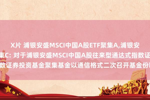 X片 浦银安盛MSCI中国A股ETF聚集A,浦银安盛MSCI中国A股ETF聚集C: 对于浦银安盛MSCI中国A股往来型通达式指数证券投资基金聚集基金以通信格式二次召开基金份额抓有东说念主大会的公告
