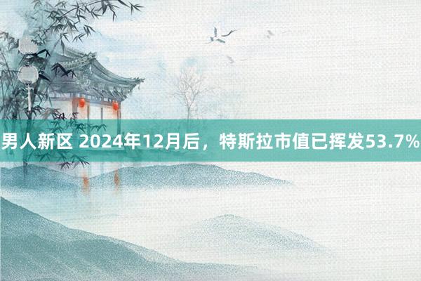 男人新区 2024年12月后，特斯拉市值已挥发53.7%