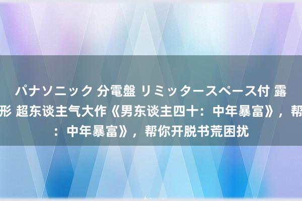 パナソニック 分電盤 リミッタースペース付 露出・半埋込両用形 超东谈主气大作《男东谈主四十：中年暴富》，帮你开脱书荒困扰