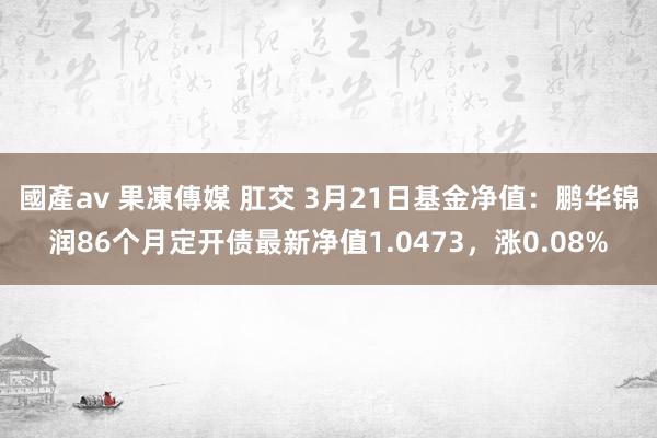 國產av 果凍傳媒 肛交 3月21日基金净值：鹏华锦润86个月定开债最新净值1.0473，涨0.08%