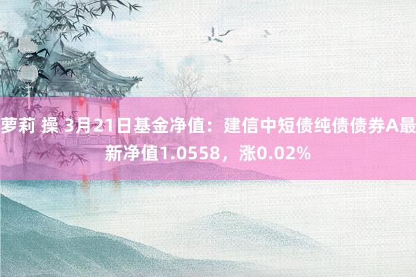 萝莉 操 3月21日基金净值：建信中短债纯债债券A最新净值1.0558，涨0.02%