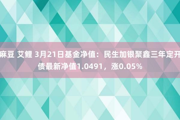 麻豆 艾鲤 3月21日基金净值：民生加银聚鑫三年定开债最新净值1.0491，涨0.05%