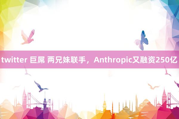 twitter 巨屌 两兄妹联手，Anthropic又融资250亿
