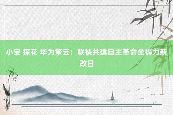 小宝 探花 华为擎云：联袂共建自主革命坐褥力新改日