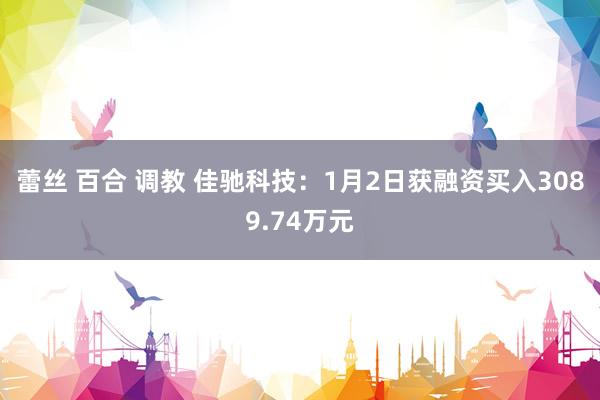 蕾丝 百合 调教 佳驰科技：1月2日获融资买入3089.74万元
