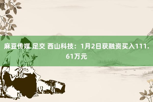 麻豆传媒 足交 西山科技：1月2日获融资买入111.61万元