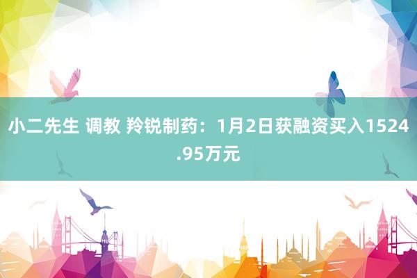 小二先生 调教 羚锐制药：1月2日获融资买入1524.95万元
