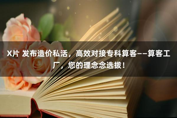 X片 发布造价私活，高效对接专科算客——算客工厂，您的理念念选拔！