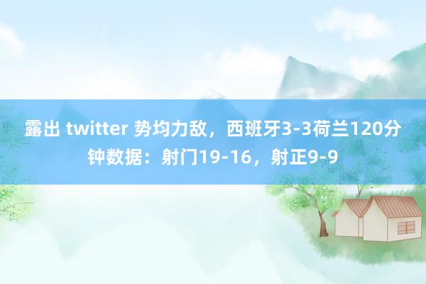 露出 twitter 势均力敌，西班牙3-3荷兰120分钟数据：射门19-16，射正9-9
