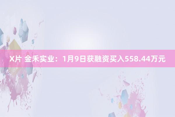 X片 金禾实业：1月9日获融资买入558.44万元