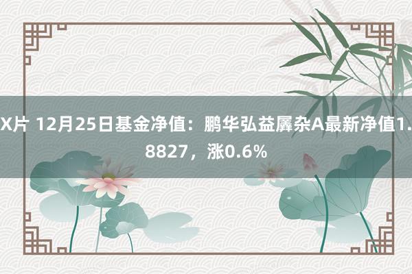 X片 12月25日基金净值：鹏华弘益羼杂A最新净值1.8827，涨0.6%