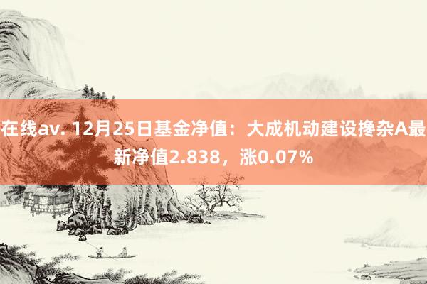 在线av. 12月25日基金净值：大成机动建设搀杂A最新净值2.838，涨0.07%