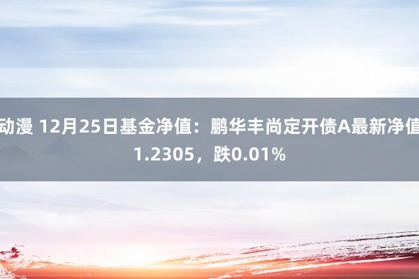 动漫 12月25日基金净值：鹏华丰尚定开债A最新净值1.2305，跌0.01%