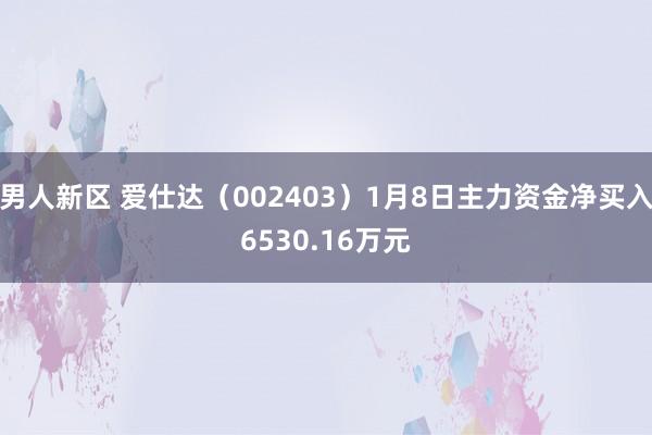 男人新区 爱仕达（002403）1月8日主力资金净买入6530.16万元
