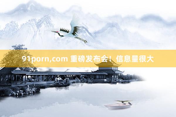 91porn，com 重磅发布会！信息量很大