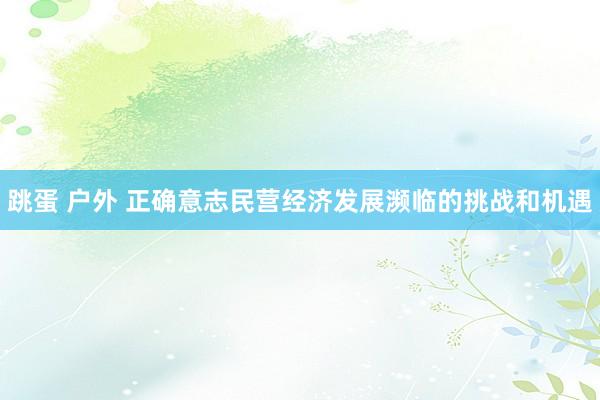 跳蛋 户外 正确意志民营经济发展濒临的挑战和机遇