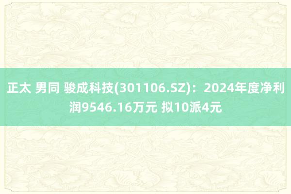 正太 男同 骏成科技(301106.SZ)：2024年度净利润9546.16万元 拟10派4元
