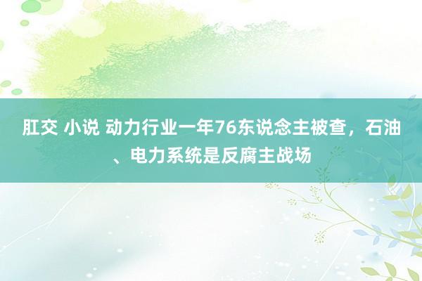 肛交 小说 动力行业一年76东说念主被查，石油、电力系统是反腐主战场