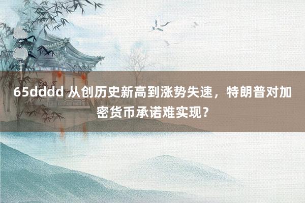 65dddd 从创历史新高到涨势失速，特朗普对加密货币承诺难实现？