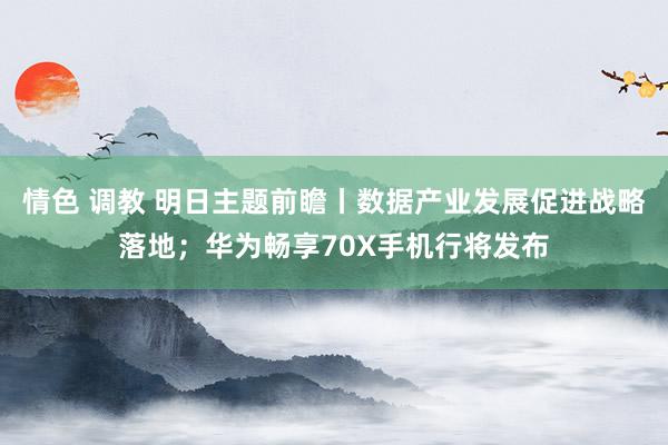 情色 调教 明日主题前瞻丨数据产业发展促进战略落地；华为畅享70X手机行将发布