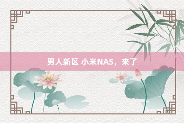 男人新区 小米NAS，来了