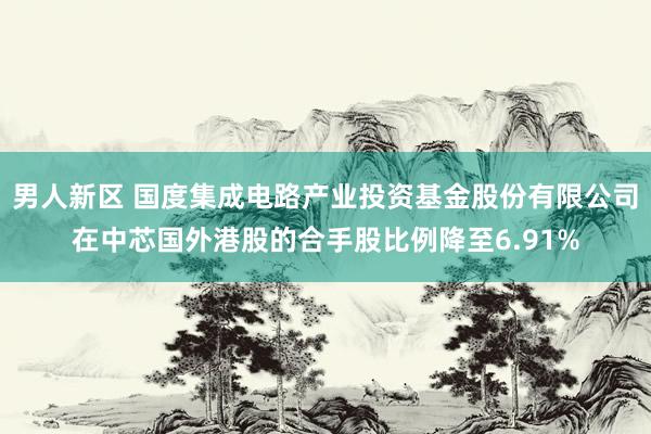 男人新区 国度集成电路产业投资基金股份有限公司在中芯国外港股的合手股比例降至6.91%