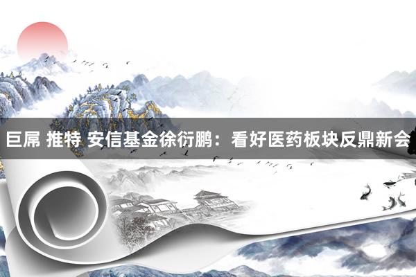 巨屌 推特 安信基金徐衍鹏：看好医药板块反鼎新会
