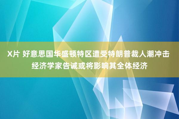 X片 好意思国华盛顿特区遭受特朗普裁人潮冲击 经济学家告诫或将影响其全体经济